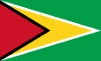 Guyana Nasjonalflagg